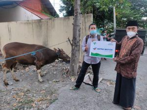 Wujud Berbagi Astra Motor Bali Serahkan Hewan Kurban Kepada Masyarakat